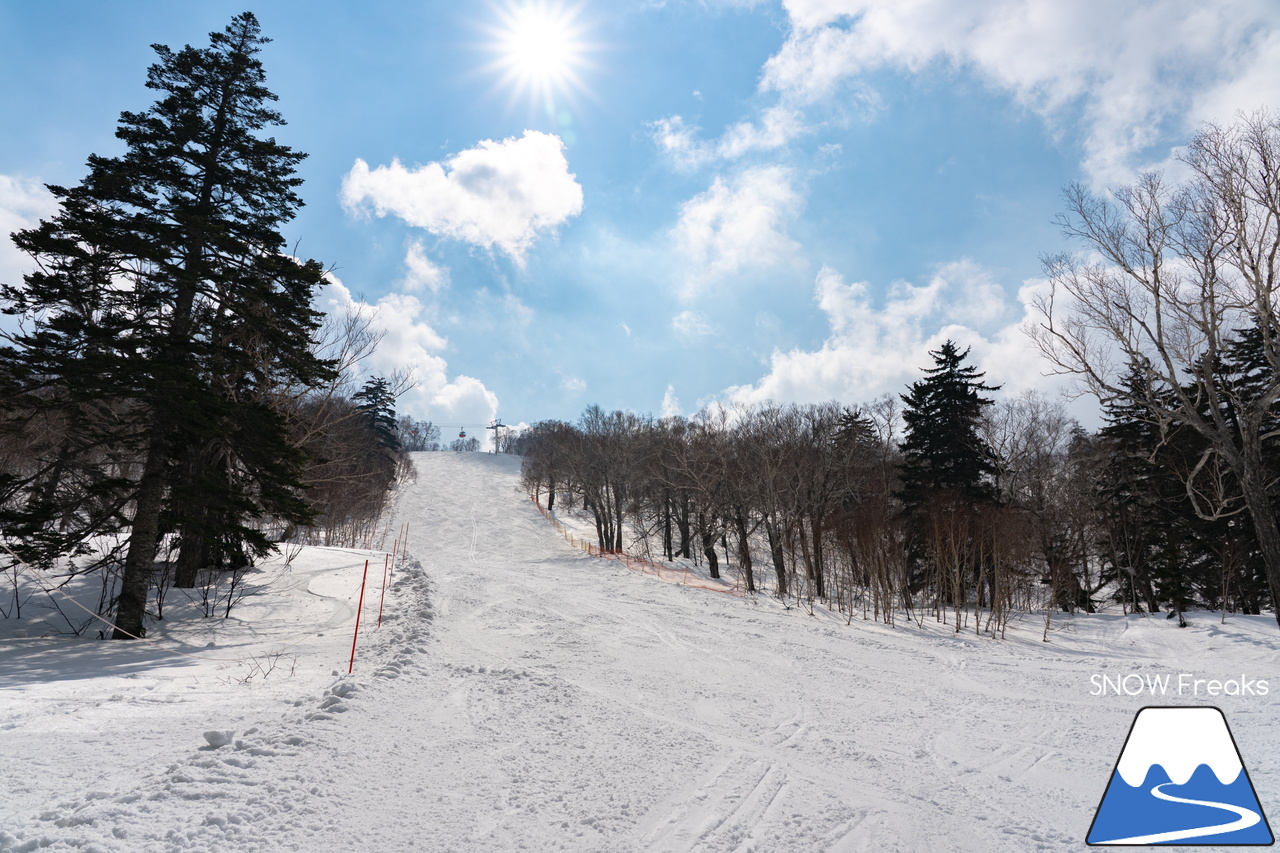 札幌国際スキー場｜さすが『KOKUSAI』！春シーズンも安泰の豊富な積雪で、まだまだ余裕で全面滑走可能です(^^)v